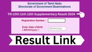 TN 12th Supplementary Result 2024